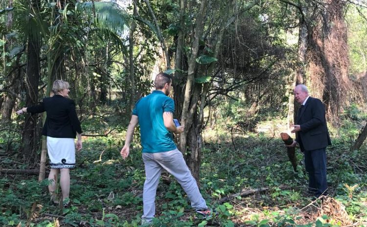  Deputados comprovam desmatamento irregular no Bosque da Agronômica